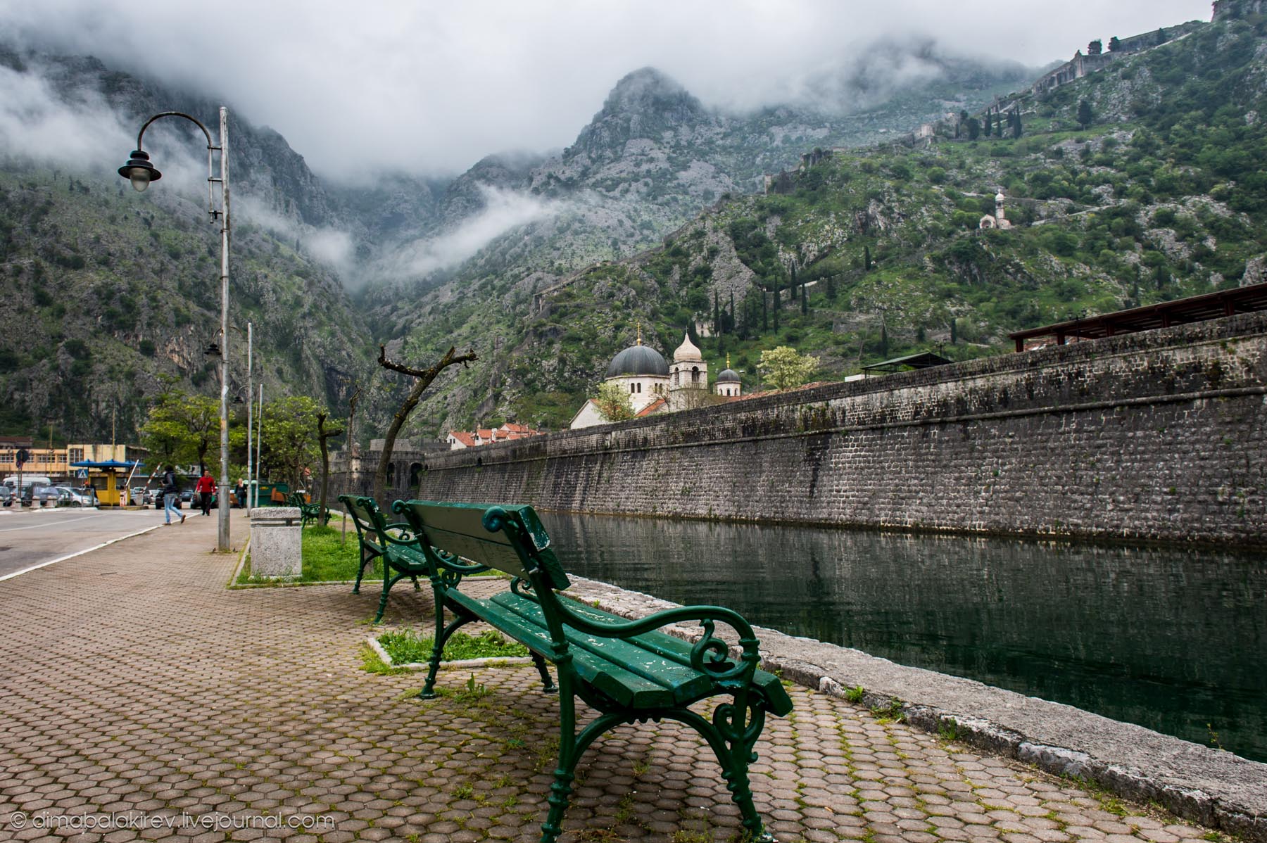 Kotor